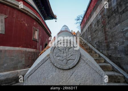 Stone carvings on the steps of the Four Great Regions in Summer Palace, Beijing Stock Photo