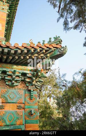 221227) -- BEIJING, Dec. 27, 2022 (Xinhua) -- File photo taken on July 10,  2022 shows Yang Haoyuan (2nd R) of Hangzhou Pujia Primary School vies with  Zhao Yirui (1st R) of