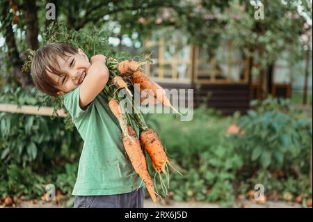 Playful boy holding bunch of carrots in garden Stock Photo