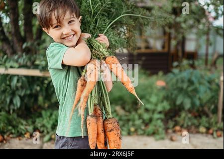 Happy boy holding bunch of carrots in garden Stock Photo