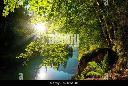 The sun shines bright through lush green tree branches over the gorgeous turquoise water of a lake Stock Photo
