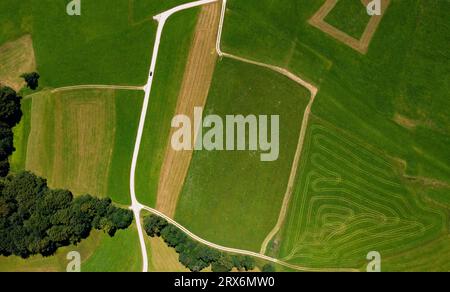 Austria, Upper Austria, Hausruckviertel, Drone view of dirt roads cutting through green fields Stock Photo