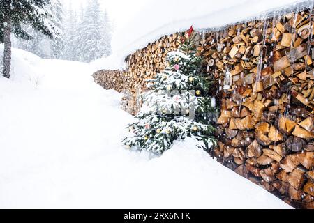Christmas tree covered in snow near firewoods Stock Photo