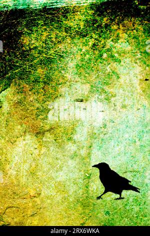 surreal, psychedelic textured image of a corvid walking on a beach Stock Photo