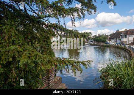 Village pond in Lindfield village in West Sussex in Uk Stock Photo