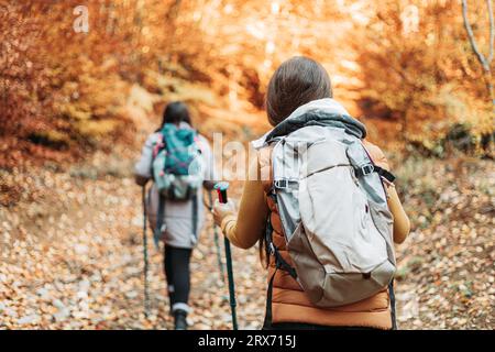 Two girls, hikers, walking through the autumn forest Stock Photo