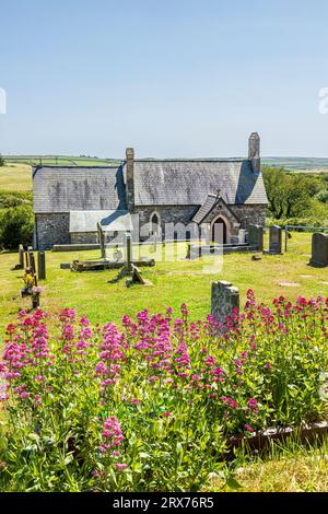 Red valerian in the churchyard of the church of St Madoc of Ferns founded in 583 AD at Haroldston West in the Pembrokeshire Coast National Park, West Stock Photo