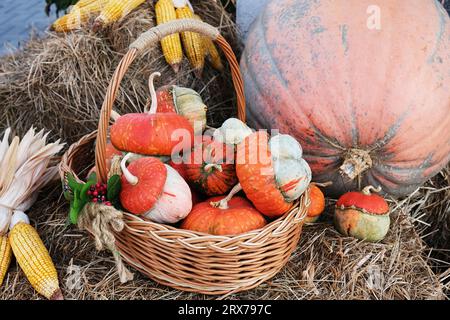 Autumn basket with small pumpkins and ears of corn in an autumn park on a haystack. Autumn still life. Stock Photo