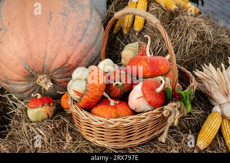 Autumn basket with small pumpkins and ears of corn in an autumn park on a haystack. Autumn still life. Stock Photo