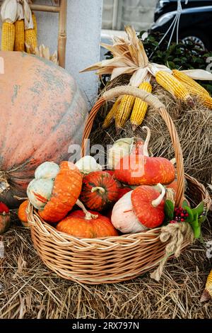 Autumn basket with small pumpkins and ears of corn in an autumn park on a haystack. Autumn still life. Stock Photo
