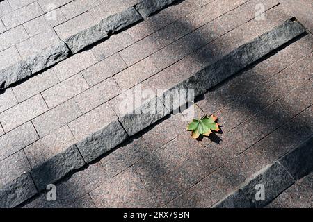Autumn wallpaper. Maple leaf on a stone path. Autumn background, texture Stock Photo