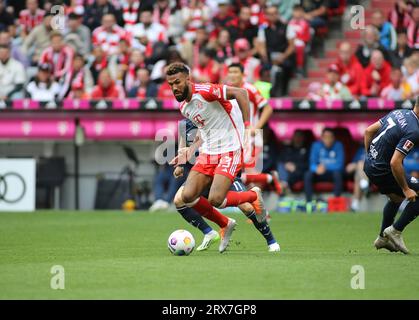 München, Deutschland 23. September 2023: Fussball, Herren, Bundesliga, Saison 2023/2024, FC Bayern München - VFL Bochum, Allianz Arena Eric Maxim Choupo-Moting (FC Bayern München) mit Ball im Angriff DFB regulations prohibit any use of photographs as image sequences and/or quasi-video Stock Photo