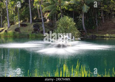 Sculpture of a flock of white birds swimming through a fountain in a lake surrounded by Palm tress and water plants in Na Aina Kai botanical gardens i Stock Photo