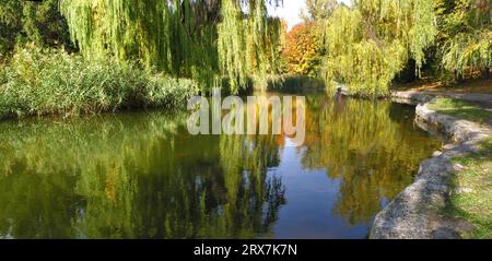 panoramic image of the autumn park in October Stock Photo