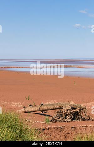 Cobequid Bay Trail, Nova Scotia, is a 18+ kilometre recreation trail exploring the Truro Marsh and over 300+ acres of farmland on Canada's east coast Stock Photo