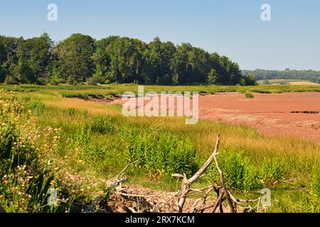 Cobequid Trail, Nova Scotia, is a 18+ kilometre recreation trail exploring the Truro Marsh and over 300+ acres of farmland on Canada's east coast Stock Photo