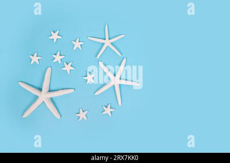 Different sized starfish on blue background. Stock Photo