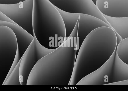 Abstract, grey paper background with smooth lines Stock Photo
