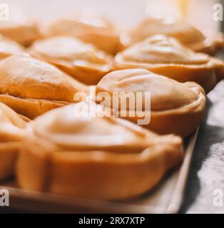 Assorted stuffed empanadas typical of South America Stock Photo