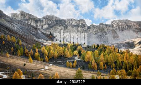 Larch trees changing their colour in fall on a sunny day at the Col d'Izoard in the French Alps, a small path leading through towards high cliffs in t Stock Photo