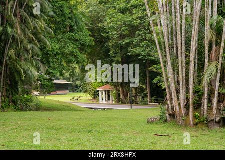 The Penang Botanic Gardens, Pulau Pinang, Malaysia Stock Photo