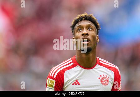 Munich, Germany. 23rd Sep, 2023. Kingsley Coman, FCB 11    in the match  FC BAYERN MUENCHEN - VFL BOCHUM 7-0 on Sept 23, 2023 in Munich, Germany. Season 2023/2024, 1.Bundesliga, FCB, München, matchday 5, 5.Spieltag © Peter Schatz / Alamy Live News    - DFL REGULATIONS PROHIBIT ANY USE OF PHOTOGRAPHS as IMAGE SEQUENCES and/or QUASI-VIDEO - Credit: Peter Schatz/Alamy Live News Stock Photo