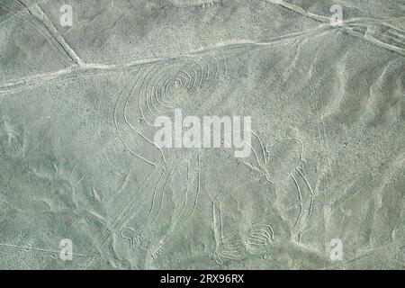 The famous geoglyphs of Nazca Stock Photo