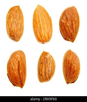 Almond nuts isolated on white background Stock Photo
