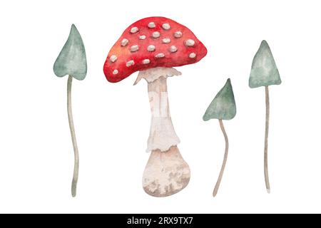 Fly agaric and blue mushrooms.Inedible poisonous mushroom.Botanical watercolor illustration.Hand drawn isolated art. Stock Photo