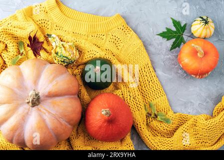 Autumn flat lay with orange pumpkins and autumnal leaves on yellow sweater on grey concrete background. Top view. Stock Photo