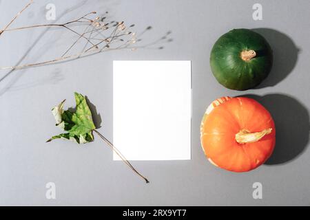 Mockup with blank card, colorful pumpkins, dry leaf and branch on grey background. Top view, flat lay. Stock Photo