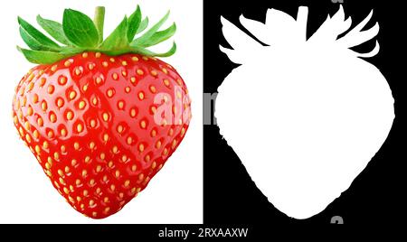 Strawberry isolated on white background on white background with clipping mask (alpha channel) for quick isolation. Stock Photo