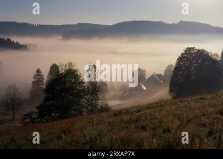 Morning atmosphere in summer, fog Breitnau Black Forest Baden-Wuerttemberg Germany Stock Photo
