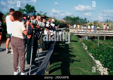 Wildlife Photographers, Anhinga Trail, Everglades National Park, Florida, USA Stock Photo