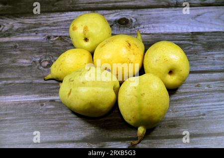 Fresh pears fruits, The pear tree and shrub are a species of genus Pyrus, in the family Rosaceae, bearing the pomaceous fruit of the same name, Severa Stock Photo