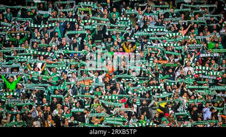 Bremen, Germany. 23rd Sep, 2023. Soccer: Bundesliga, Werder Bremen - 1. FC Köln, 5th matchday at wohninvest Weserstadion, the fans of Werder Bremen. Credit: Sina Schuldt/dpa - IMPORTANT NOTE: In accordance with the requirements of the DFL Deutsche Fußball Liga and the DFB Deutscher Fußball-Bund, it is prohibited to use or have used photographs taken in the stadium and/or of the match in the form of sequence pictures and/or video-like photo series./dpa/Alamy Live News Stock Photo