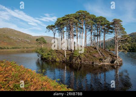 Eilean Na Moine, on Loch Eilt the supposed site of Albus Dumbledore's grave,  Lochaber, Scotland, UK Stock Photo