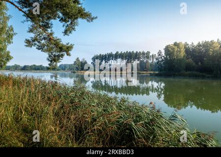 Beautiful nature. Reservoir on the Wieprz River. Pine trees reflecting in the water in the foreground. The island in the background. Pine forests. Mor Stock Photo