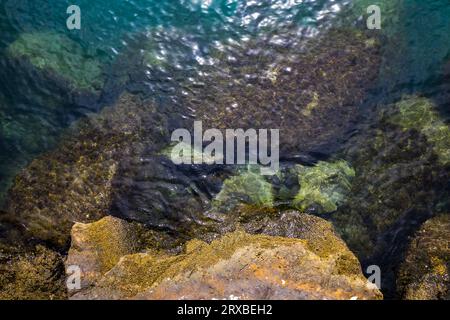 Top view on sea water with underwater stones, nature background Stock Photo