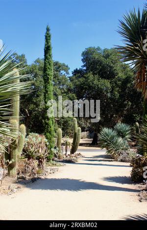 Arizona Garden, Stanford University, California Stock Photo