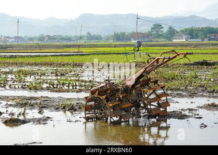 Farmer plowing muddy field with hand tractor. A farmer is using a tractor to plow a rice field filled with water to prepare for next season planting. Stock Photo