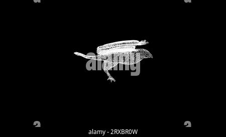 3D Falcon rotates on black background. Birds of prey concept. Wild birds. Business advertising backdrop. For title, text, presentation. 3d animation Stock Photo