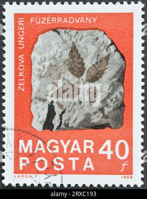 Cancelled postage stamp printed by Hungary, that shows Fossilized Zelkova Leaves from Füzérradvány, circa 1969. Stock Photo