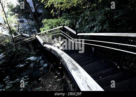 Long staircase of park surrounded by green Stock Photo