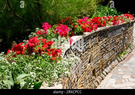 Landscape design of house backyard with retaining wall and flowerbed, landscaped home garden in summer. Flowers and plants on stone retaining wall. Lu Stock Photo