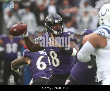 Baltimore, MD, USA. 24th Sep, 2023. Baltimore Ravens QB Lamar Jackson (8) in action against the Indianapolis Colts at M&T Bank Stadium in Baltimore, MD. Photo/ Mike Buscher/Cal Sport Media/Alamy Live News Stock Photo