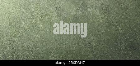 Green painted wall texture. Empty and clean green concrete wall Stock Photo