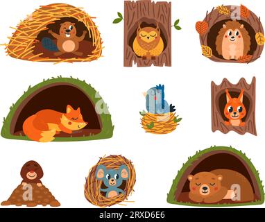 Animals in holes. Animal home, cartoon fox sleep in hole. Shelter in forest and on tree, bird nest. Cute mouse. Squirrel and hedgehog classy vector Stock Vector