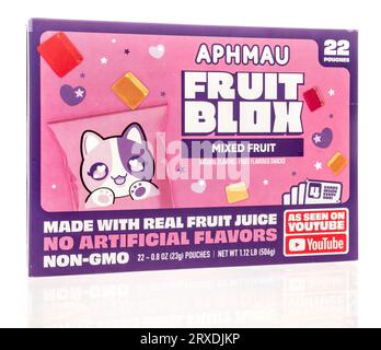 FruitBlox Aphmau Mixed Fruit Snacks, 22 Count 