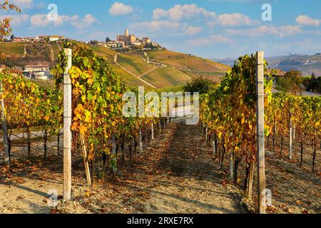 Colorful autumnal vineyards grow on a row as small town on the hill on background in Piedmont, Italy. Stock Photo